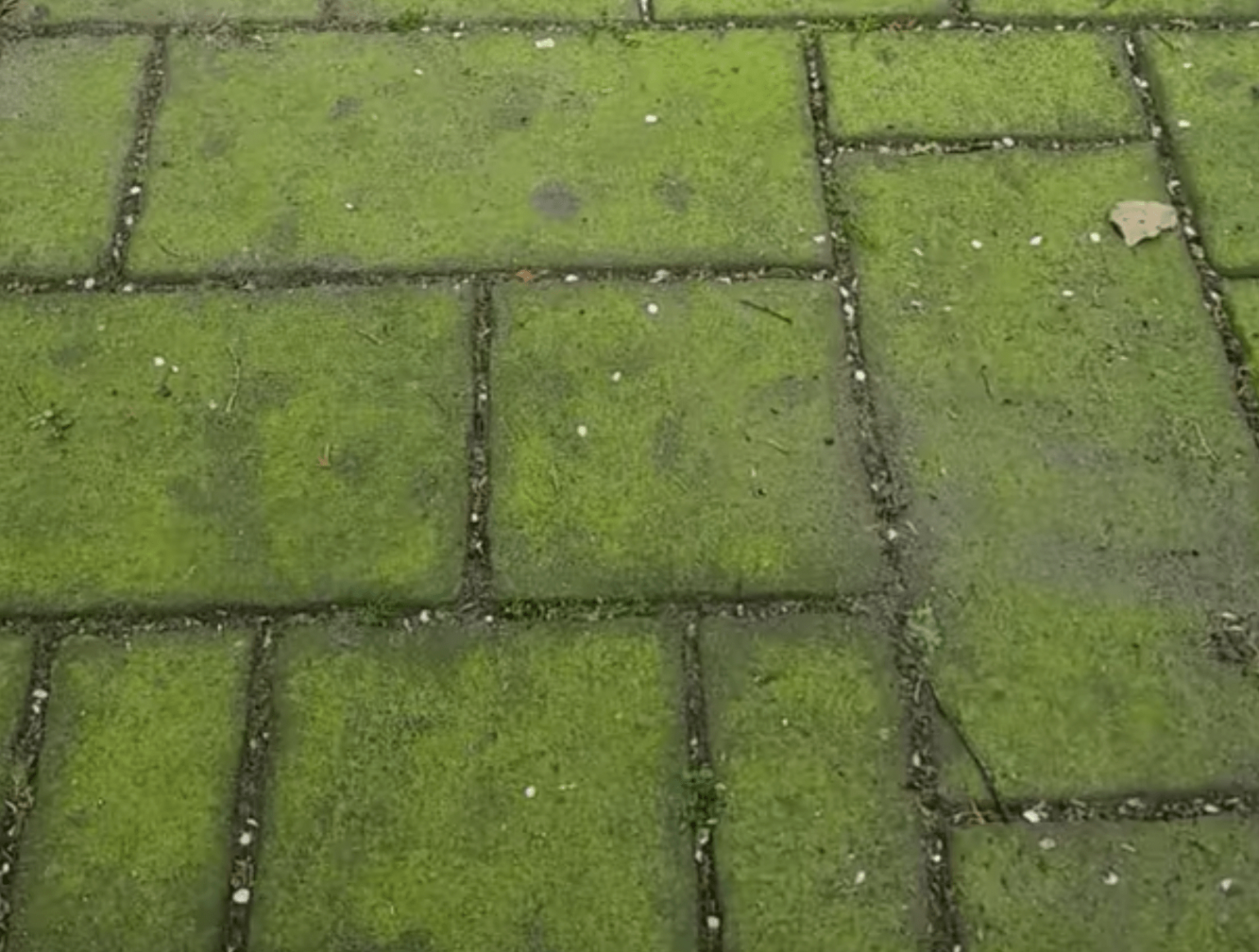 Dit is hoe je gele aanslag van je wc-bril verwijderd – Wist jij dit?